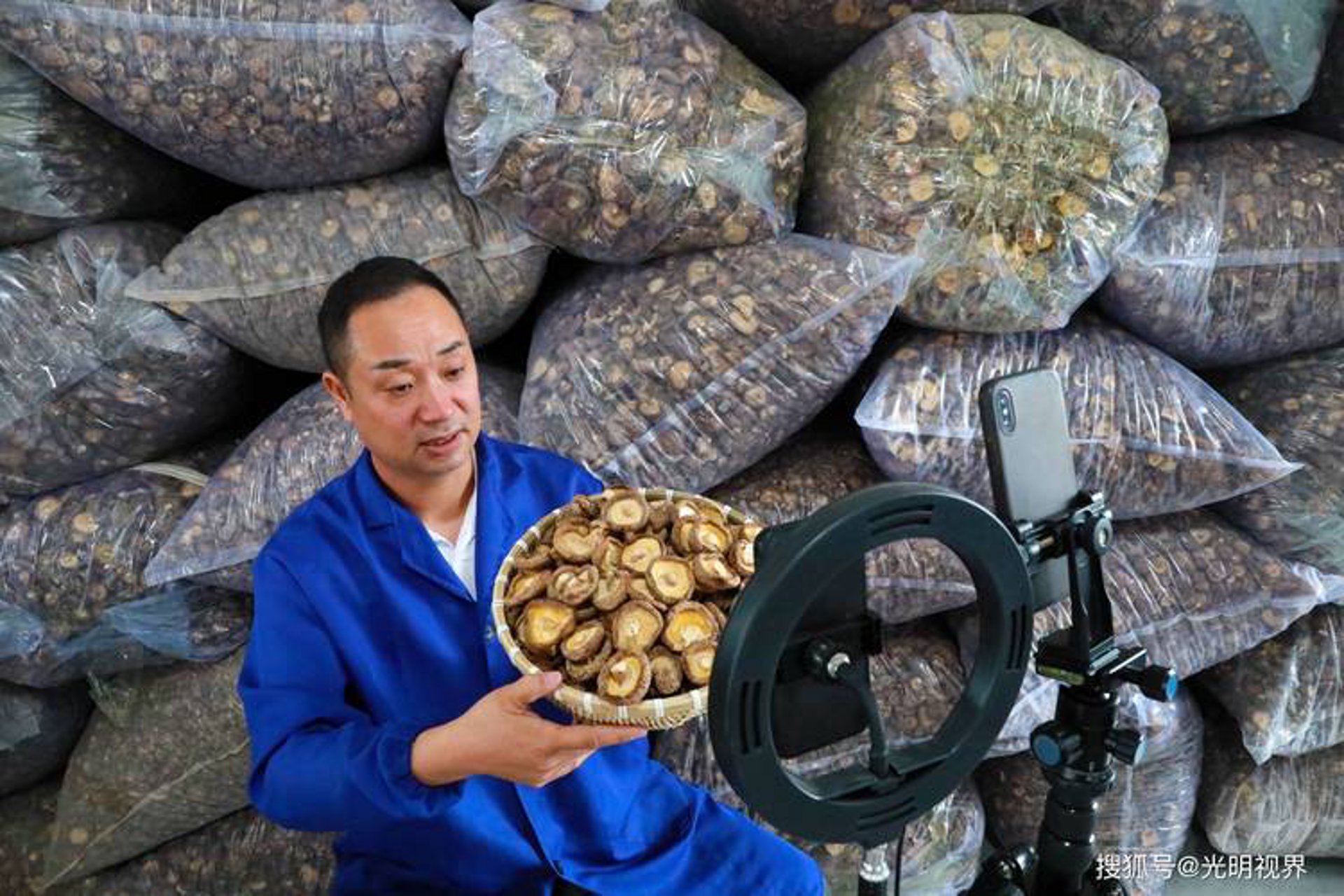 蓝瘦香菇电商