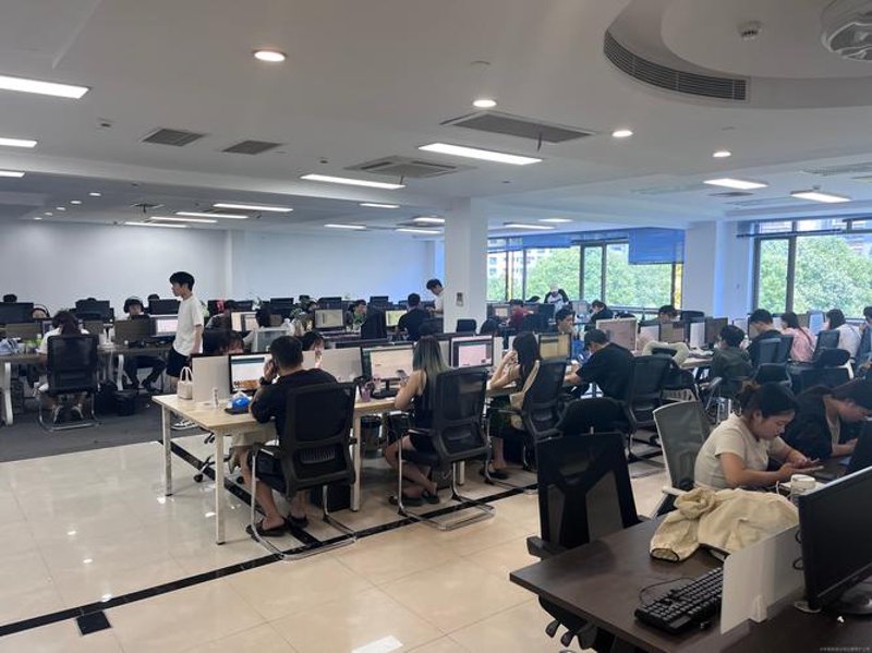 网上购物平台改变生活新篇章